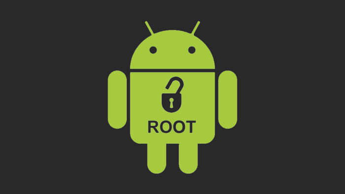روت چیست؟ | Root